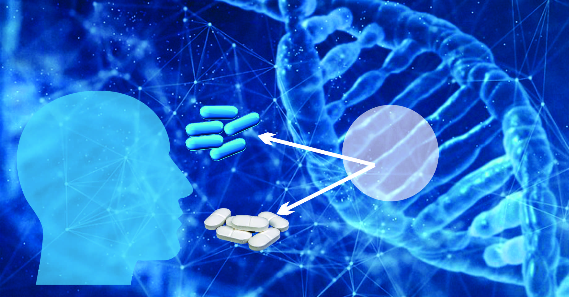 The Role of Personalized Medicine in Modern Pharmaceuticals